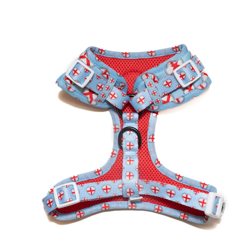 Long Paws, Funk The Dog Harness | St George's Heart