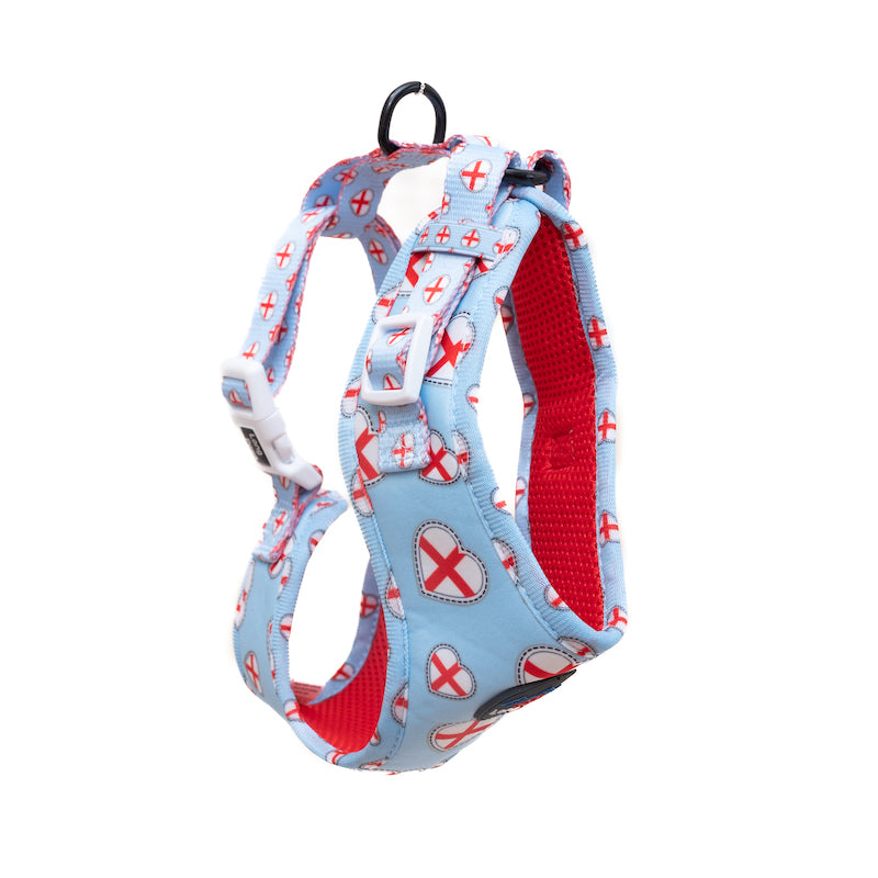 Long Paws, Funk The Dog Harness | St George's Heart