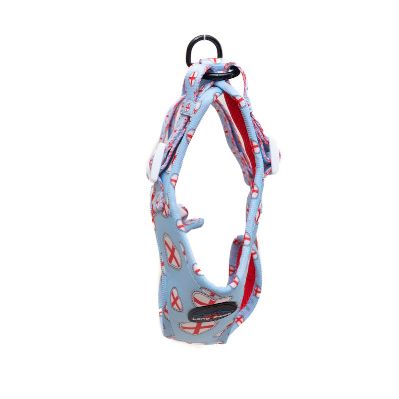 Long Paws, Funk The Dog Harness | St George's Heart