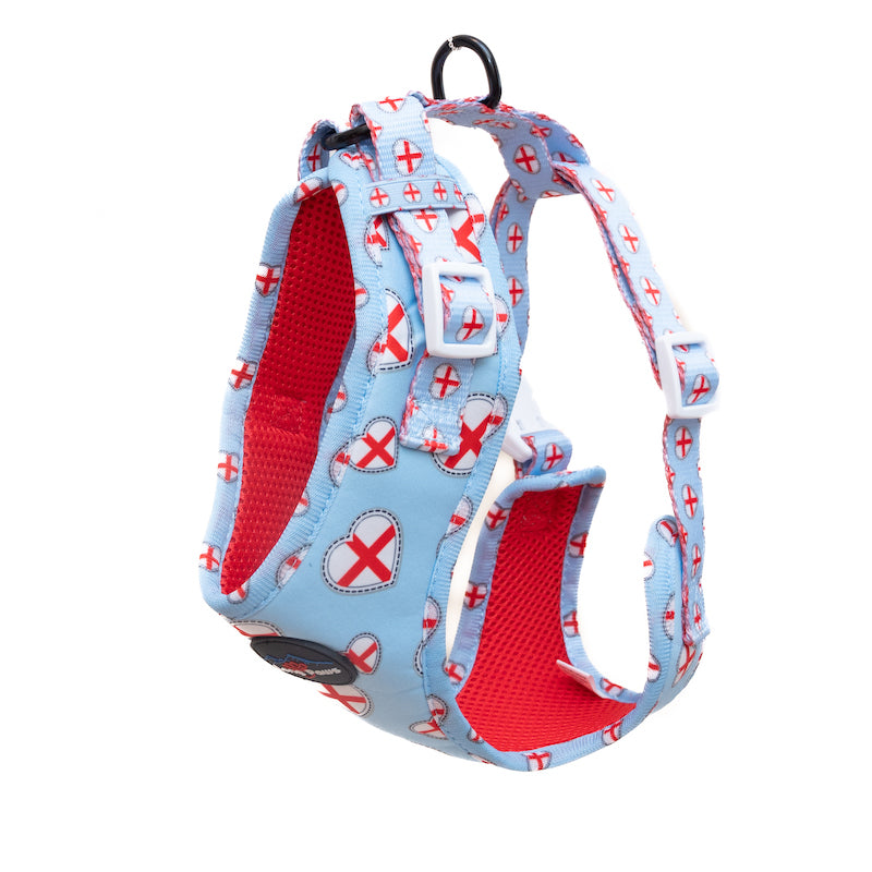 Long Paws, Funk The Dog Harness | St George's Heart