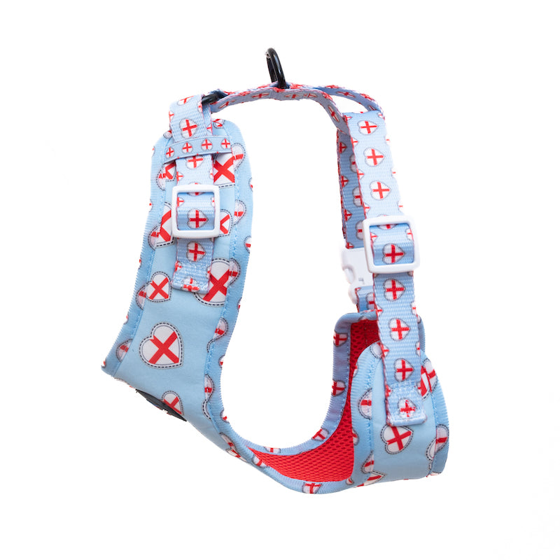 Long Paws, Funk The Dog Harness | St George's Heart