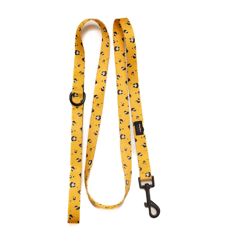 Long Paws, Funk The Dog Lead | Mustard Panda