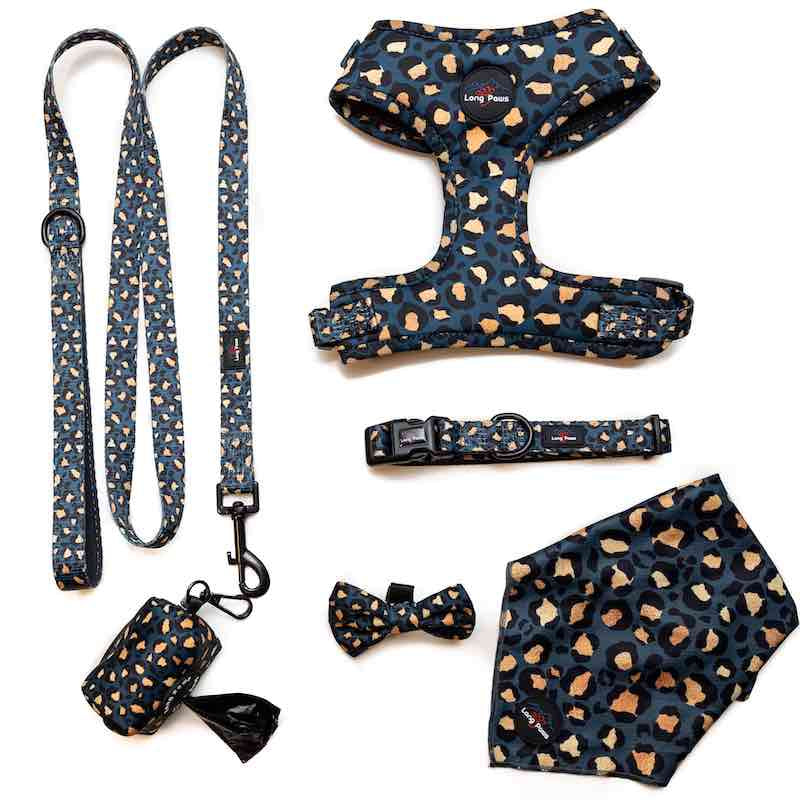 Long Paws, Funk the Dog Collar | Leopard Green & Gold