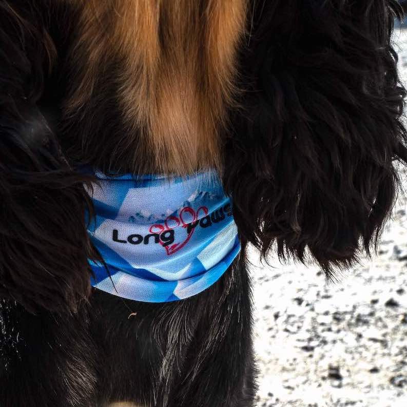Long Paws, PupStretch Geo Dog Bandanas