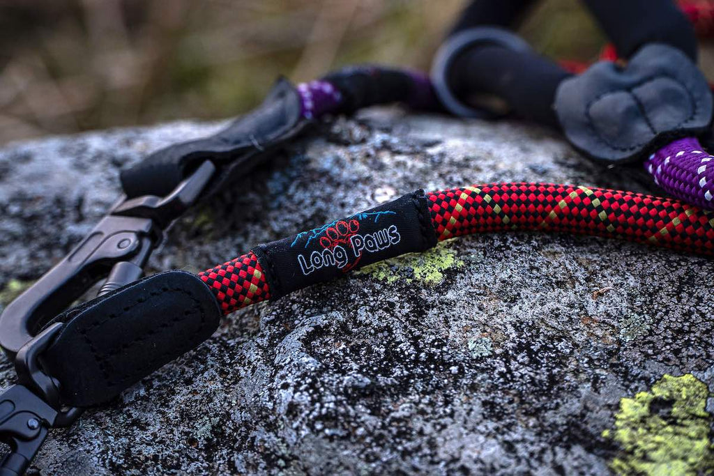 Long Paws, Comfort Rope Lead | Locking Screw Clip (Mark 3) | Orange & Black