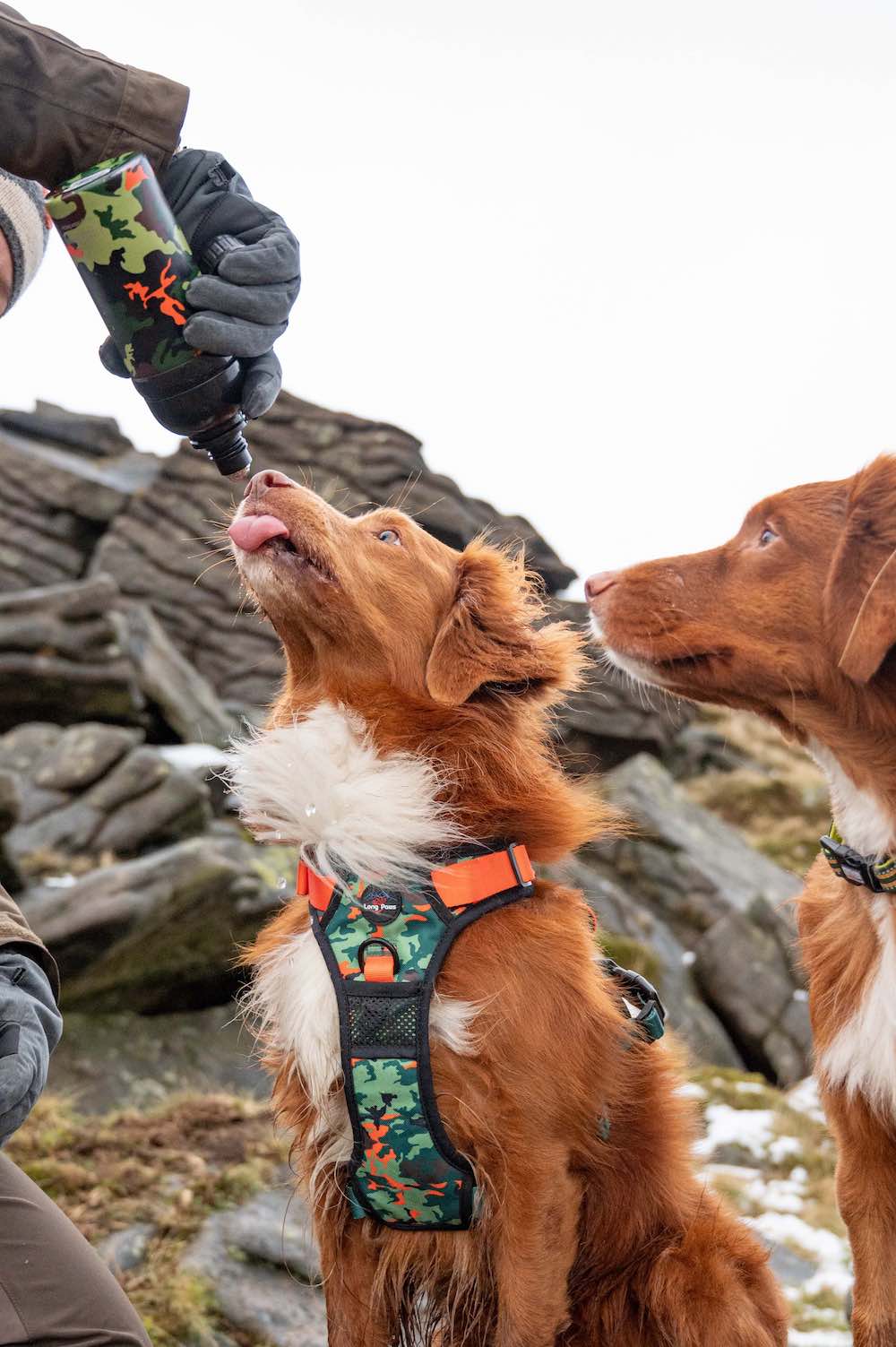 Long Paws, Earth Friendly - Trig Point Harness