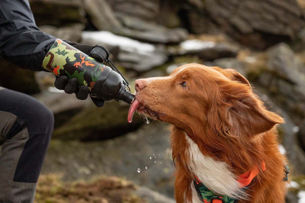 Long Paws, Dog Water Bottle, Lick 'n Flow
