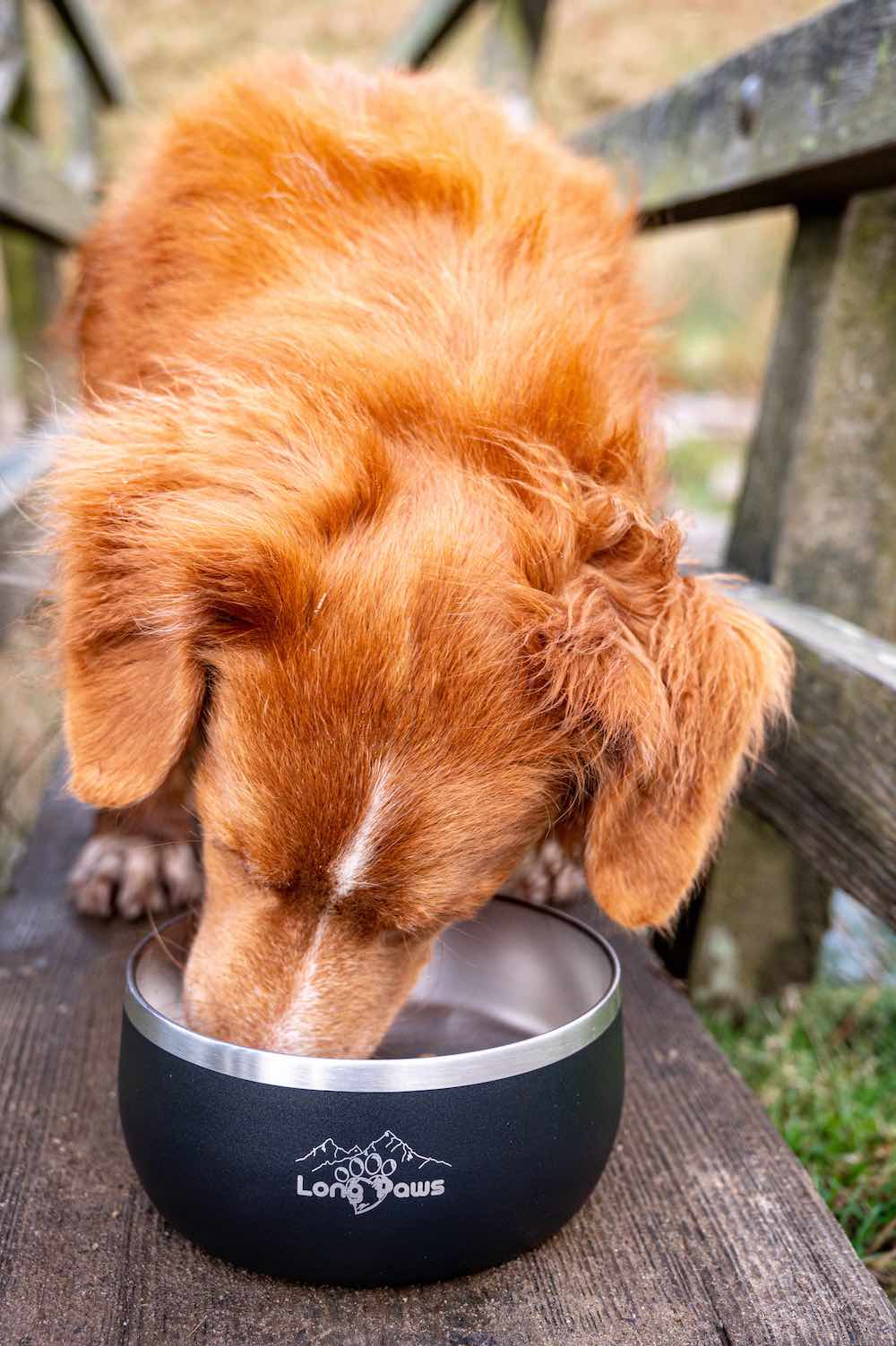 Long Paws, Lunar Dog Bowl