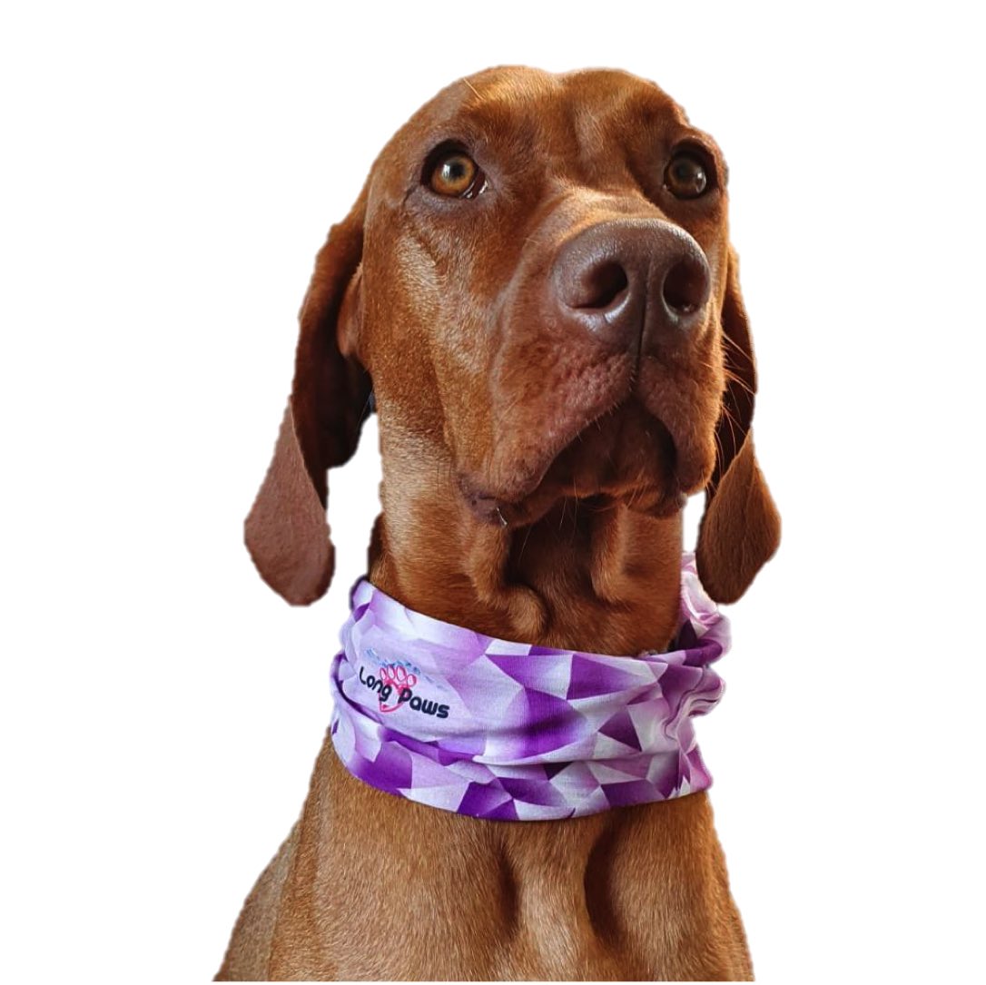 Long Paws, PupStretch Geo Dog Bandanas