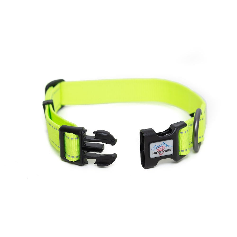 Long Paws, Neon Dog Collar