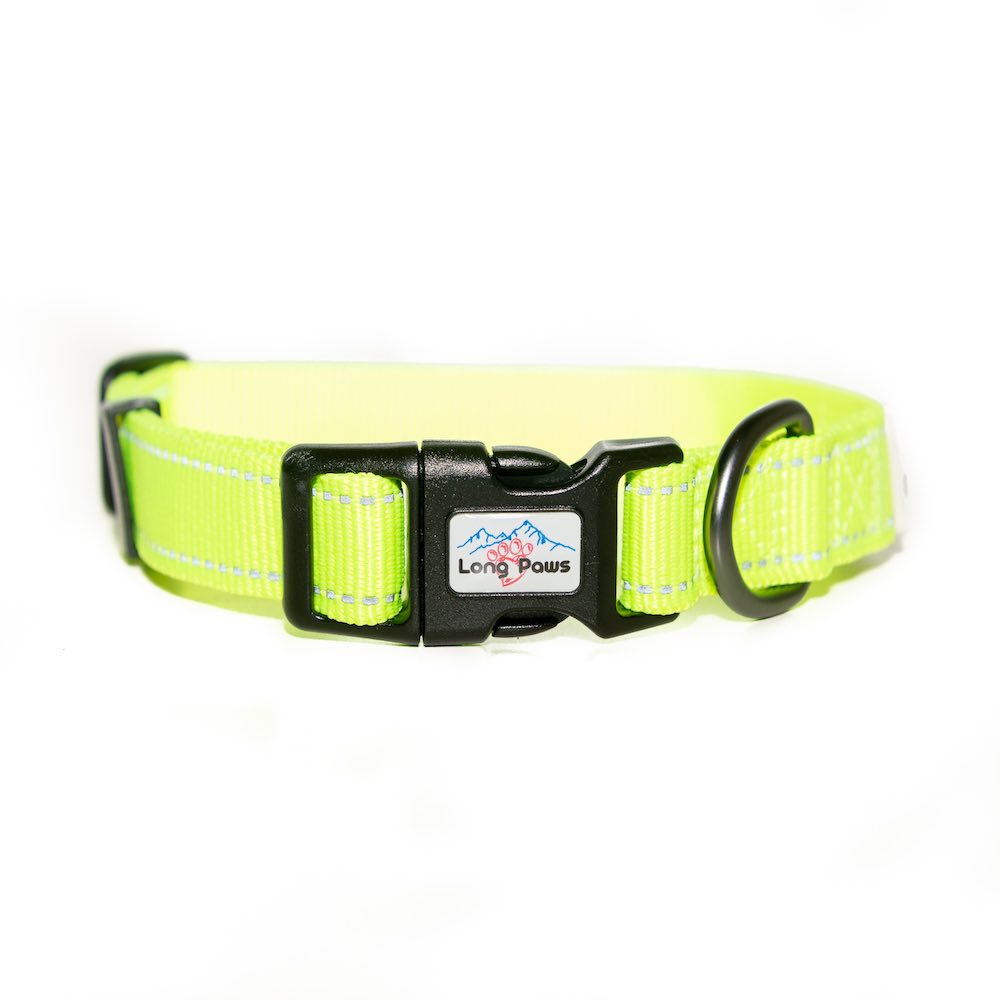 Long Paws, Neon Collar & Webbing Lead Set