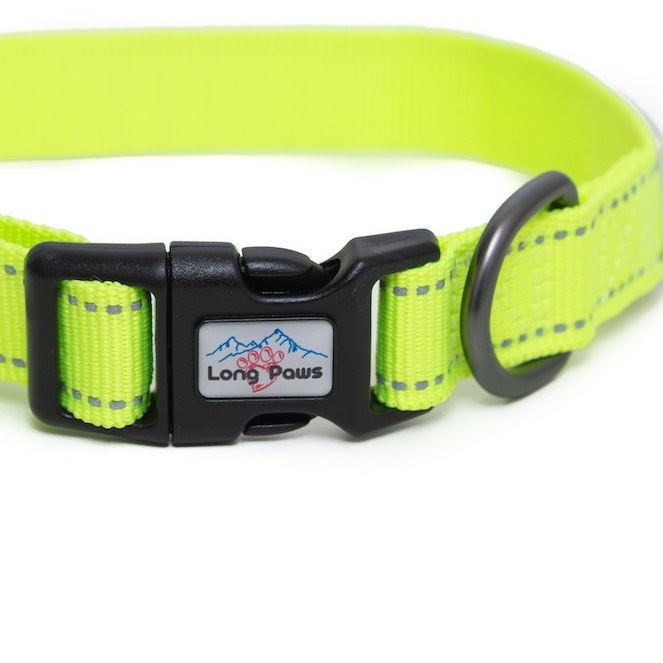 Long Paws, Neon Dog Collar