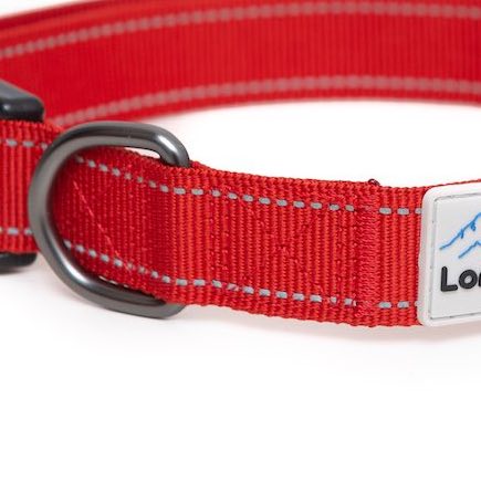 Long Paws, Reflective Dog Collar