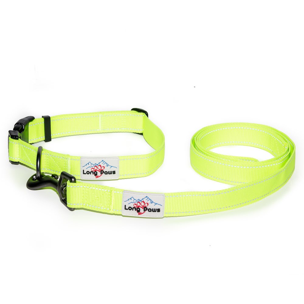 Long Paws, Neon Collar & Webbing Lead Set