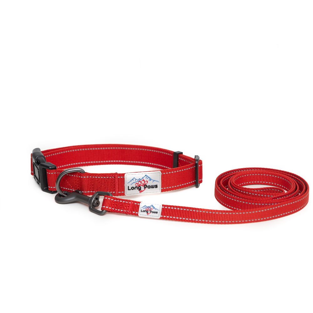 Long Paws, Reflective Dog Collar & Leash Set