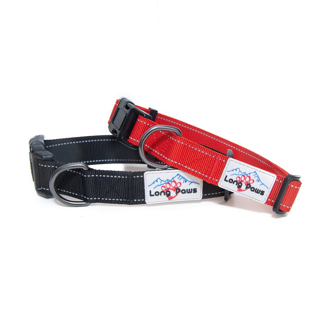 Long Paws, Reflective Dog Collar