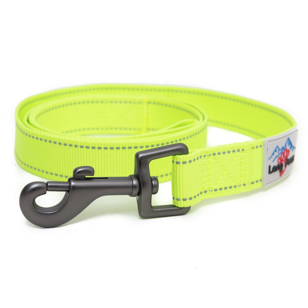 Long Paws, Neon Collar & Webbing Lead Set