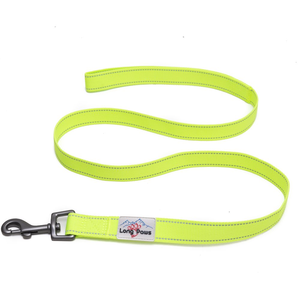 Long Paws, Neon Webbing Dog Lead