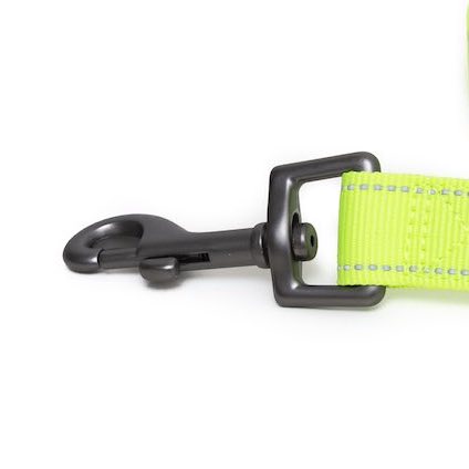 Long Paws, Neon Webbing Dog Lead