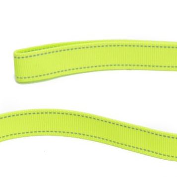 Long Paws, Neon Webbing Dog Lead