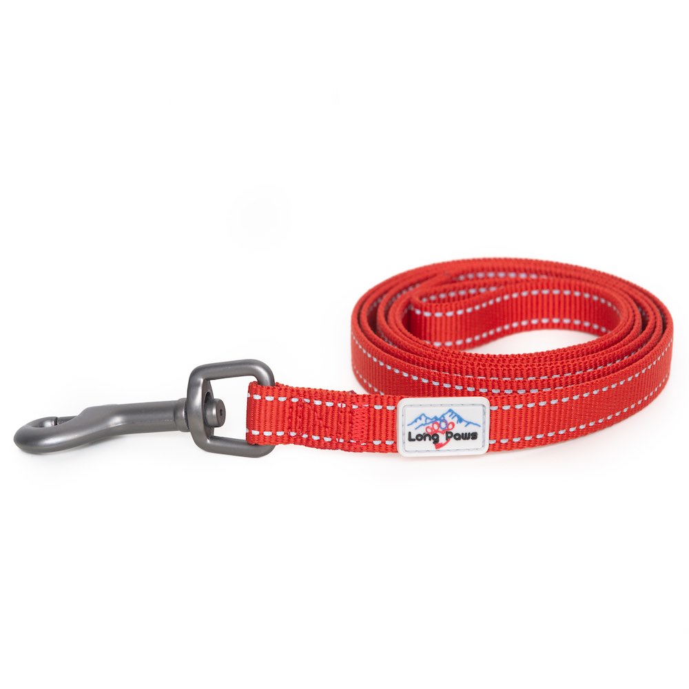 Long Paws, Reflective Dog Leash