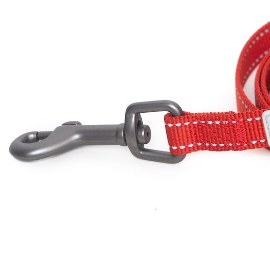 Long Paws, Reflective Dog Leash