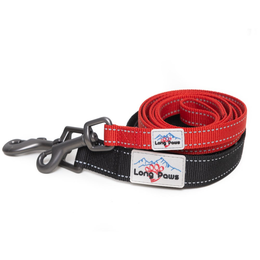 Long Paws, Reflective Dog Leash