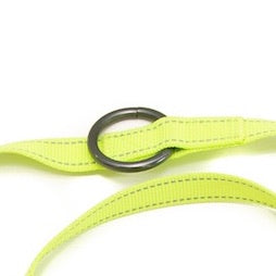 Long Paws, Multi-Function Neon Training Lead