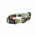 Long Paws, Earth Friendly - Trig Point Collar