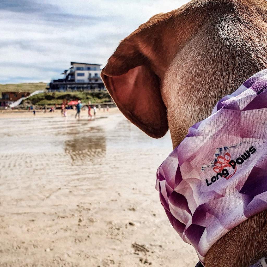 Long Paws, PupStretch Geo Dog Bandanas