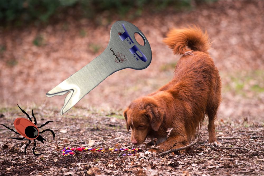 Long Paws TickPick Portable Tick Remover for your Keychain