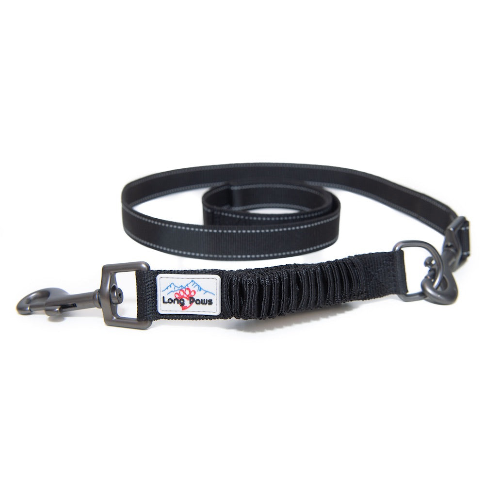 Long Paws, Bungee Lead Extender