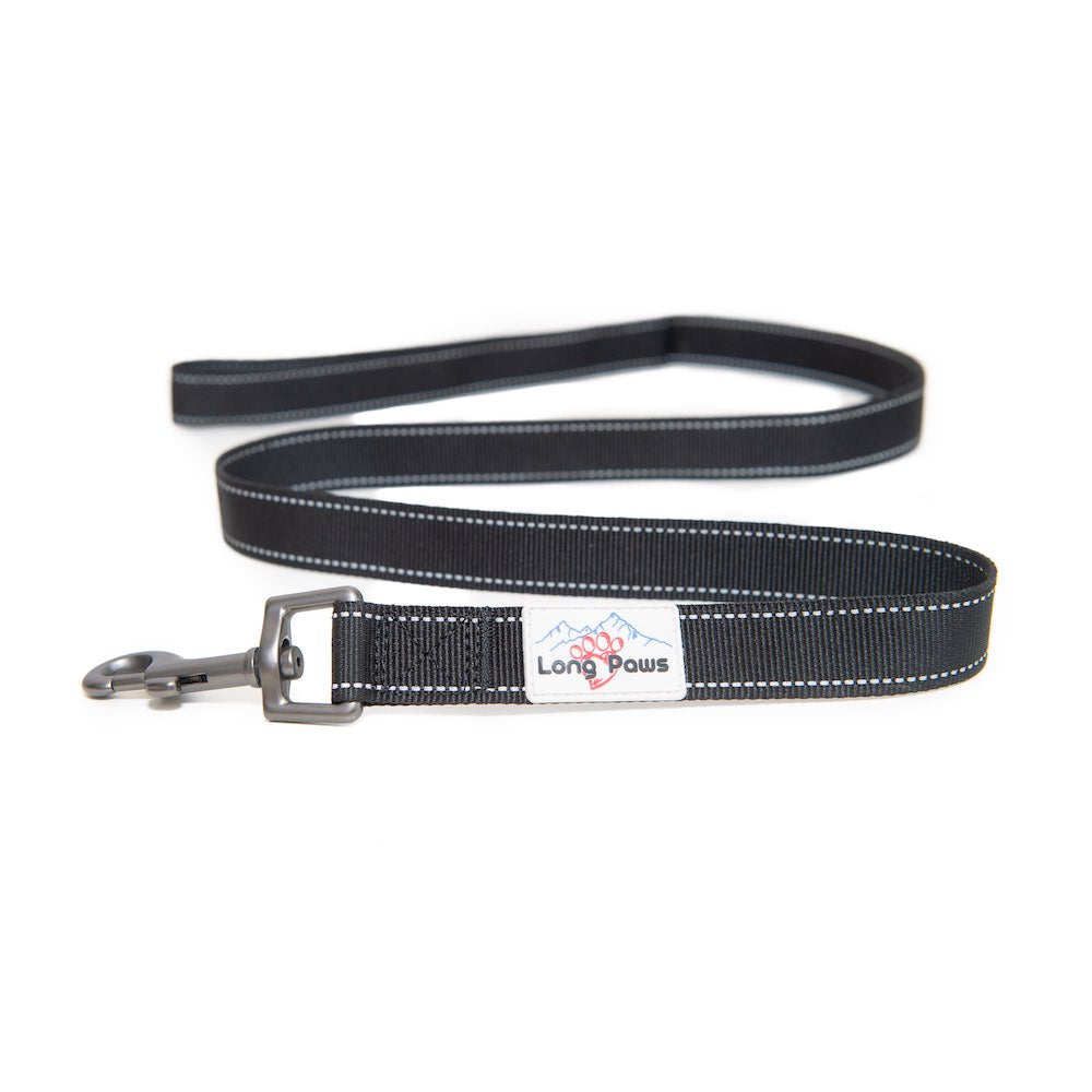 Long Paws, Reflective Dog Leash