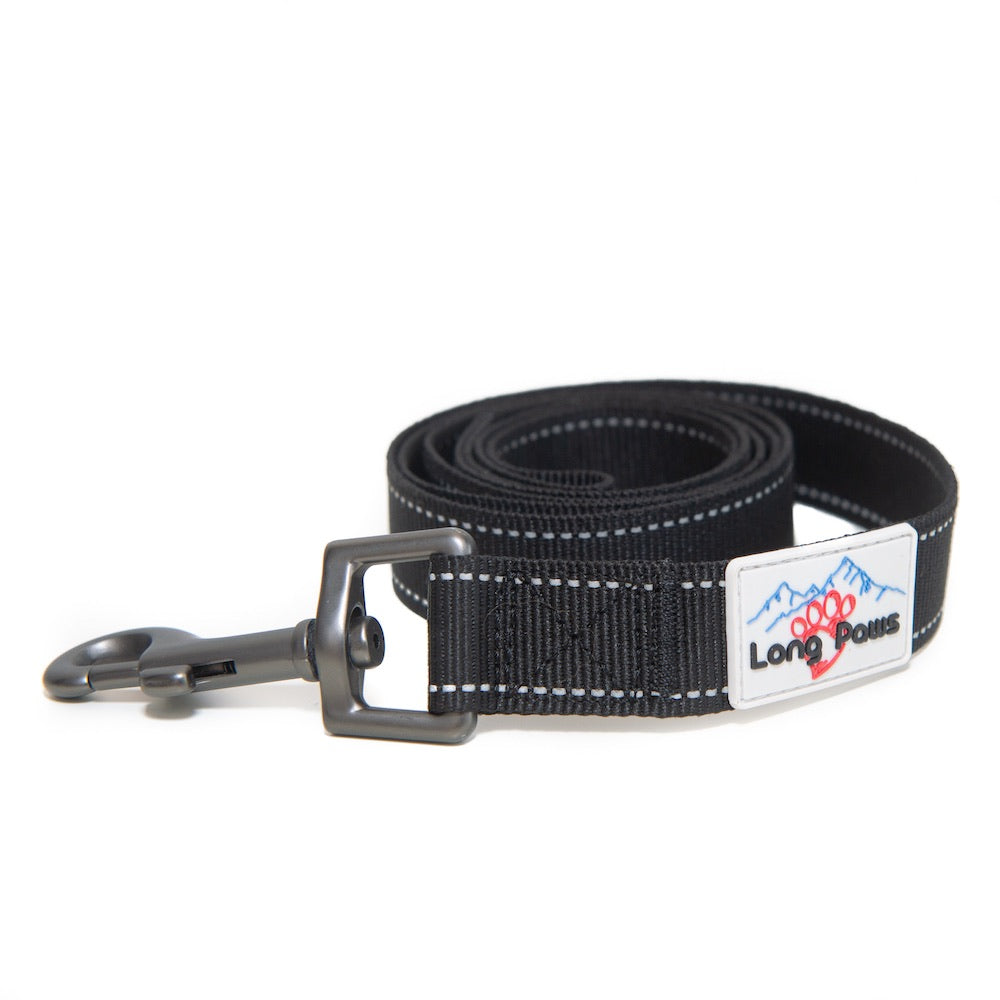 Long Paws, Reflective Dog Leash