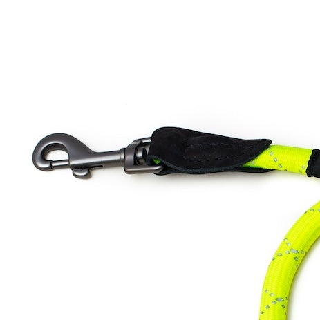Long Paws, Reflective Neon Rope Lead