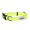 Long Paws, Neon Dog Collar