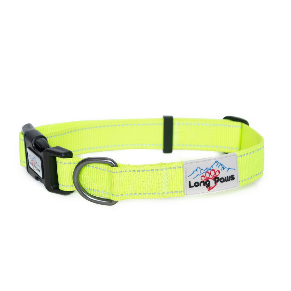 Long Paws, Neon Dog Collar
