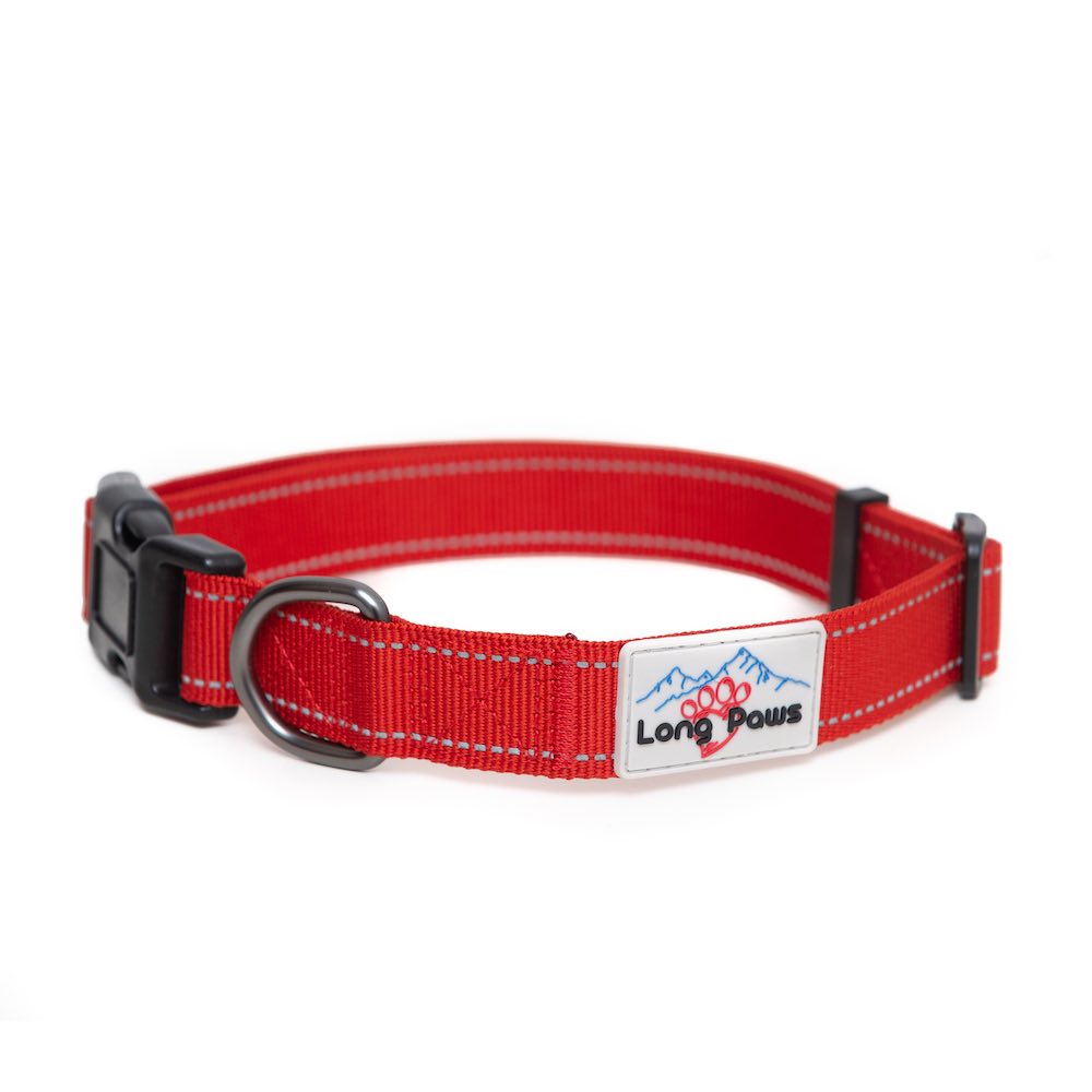 Long Paws, Reflective Dog Collar