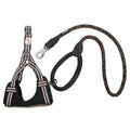 Long Paws, Comfort Rope Lead & Harness Set