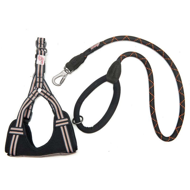 Long Paws, Comfort Rope Lead & Harness Set