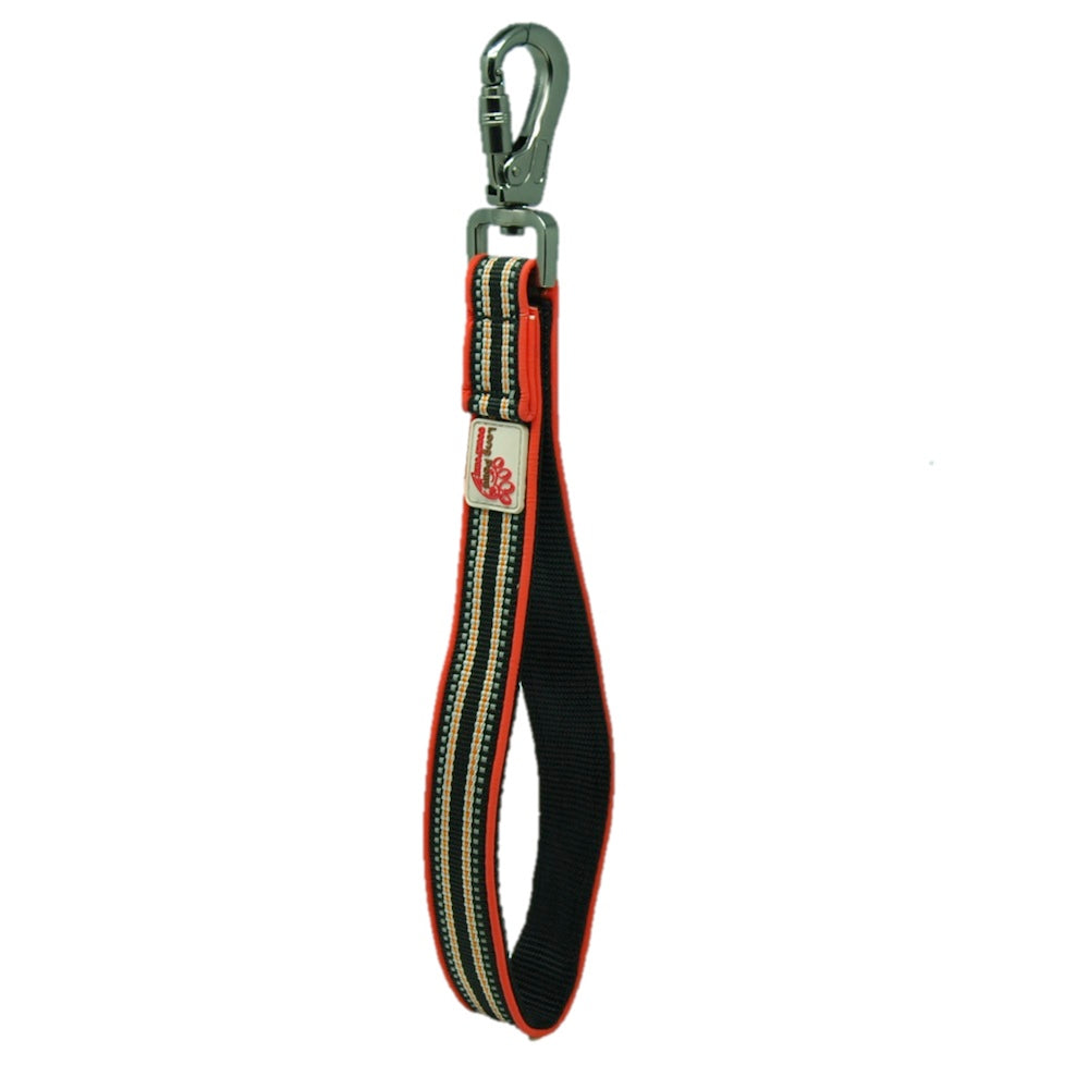 Long Paws, Safety Belt Strap | Close Control Lead