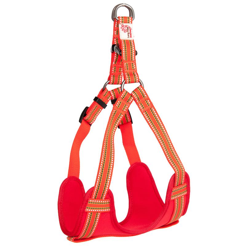 Long Paws, Comfort Collar, Dog Harness & Rope Lead Set