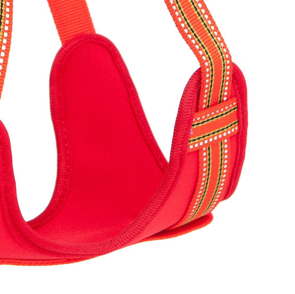 Long Paws, Comfort Step-in Dog Harness - Orange / Red