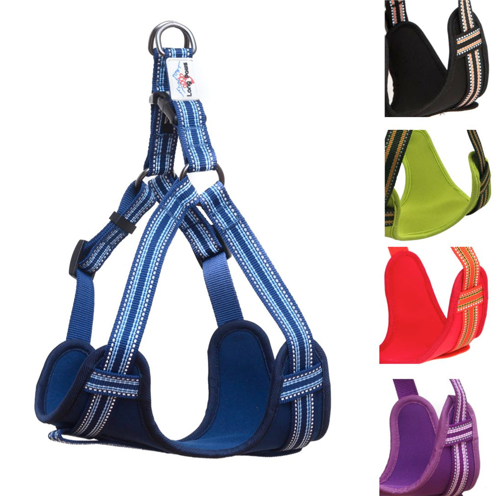 Long Paws, Comfort Rope Lead & Harness Set