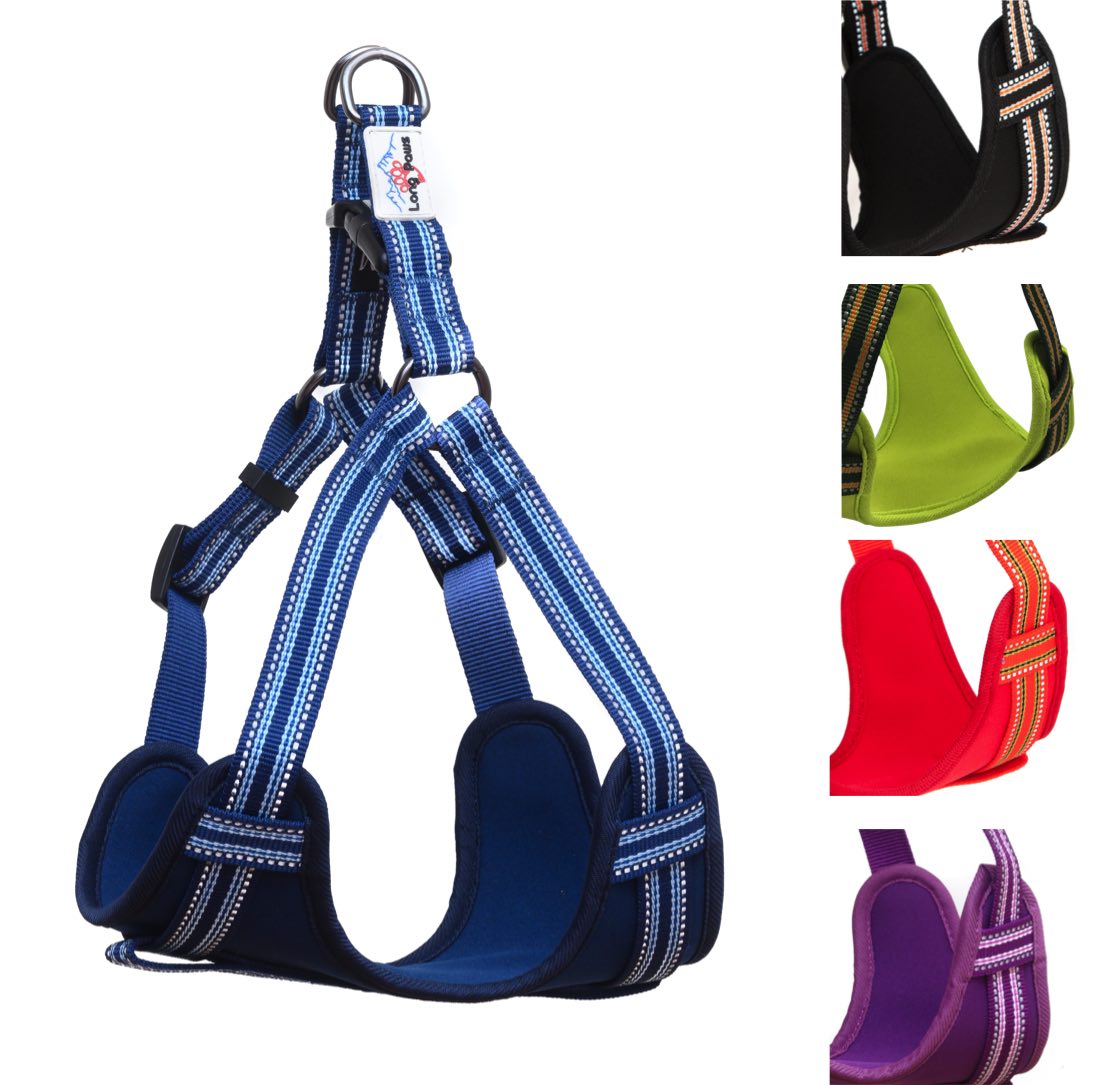 Long Paws, Comfort Rope Lead & Harness Set