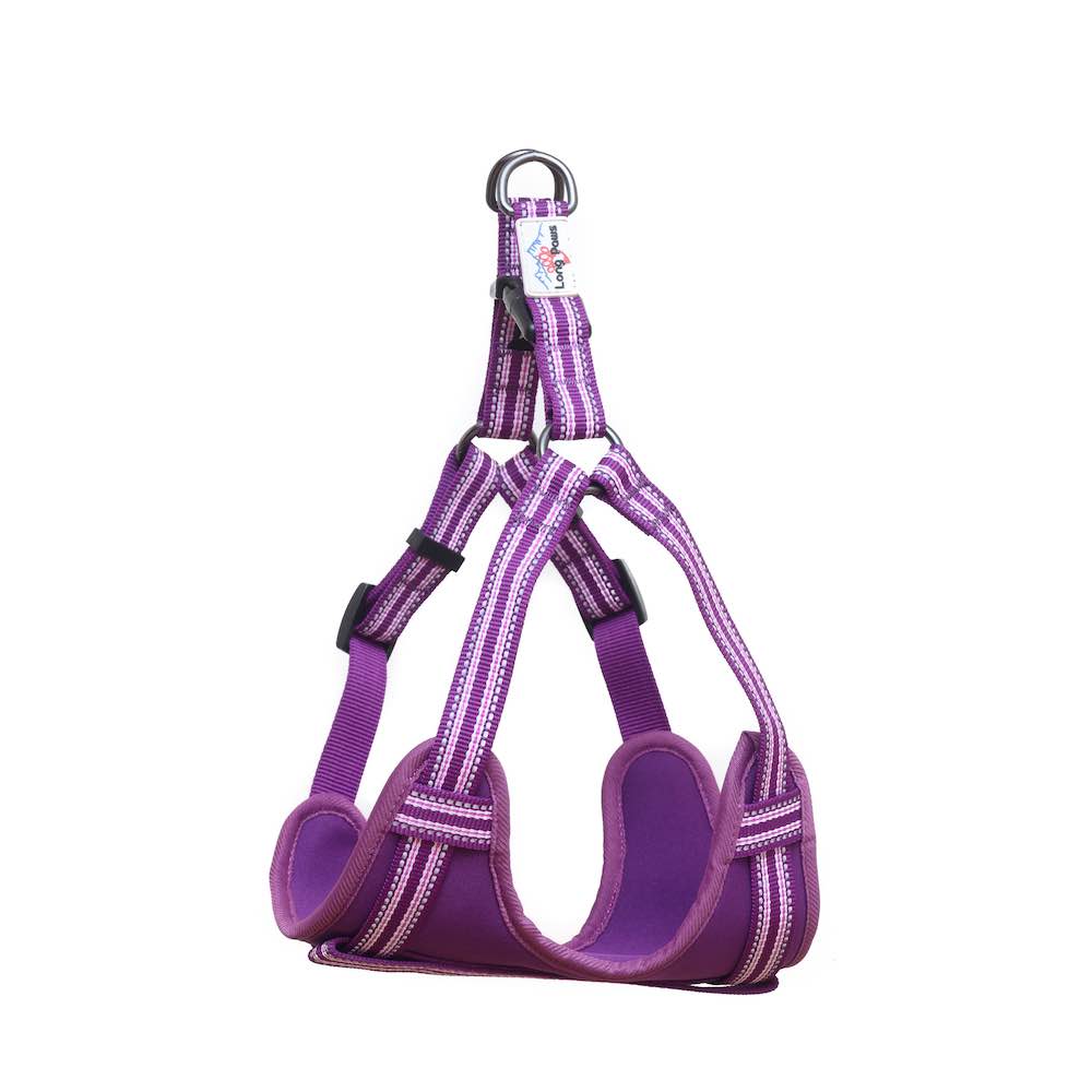 Long Paws, Comfort Step-in Dog Harness - Purple