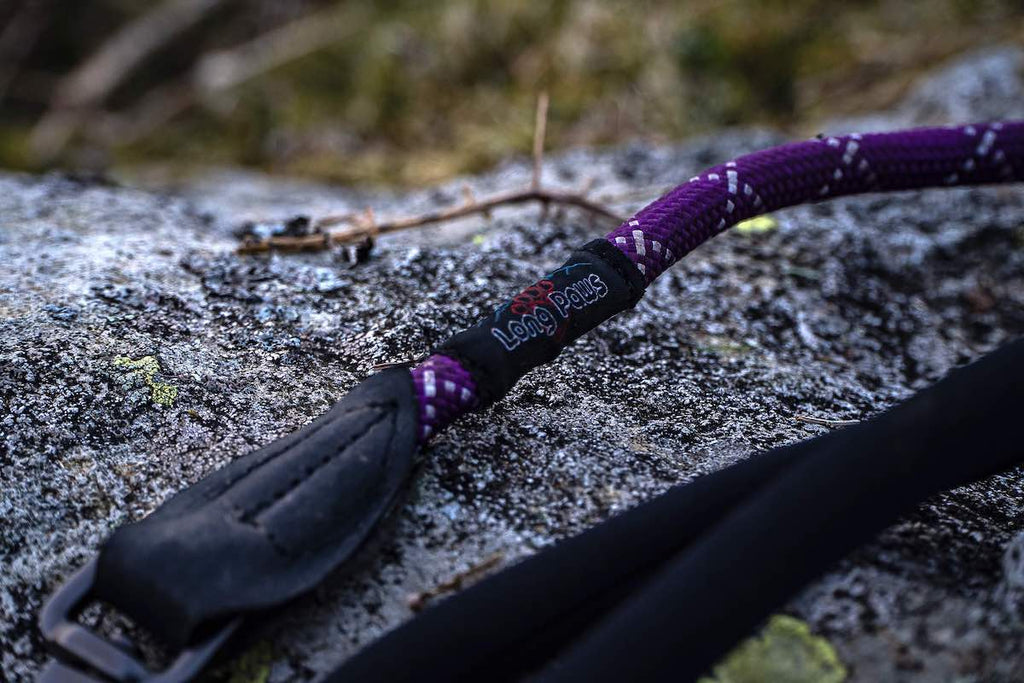 Long Paws, Comfort Rope Lead | Locking Screw Clip (Mark 3) | Purple