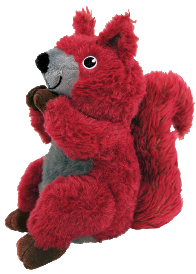 KONG Shakers Passports Red Squirrel Md Feb