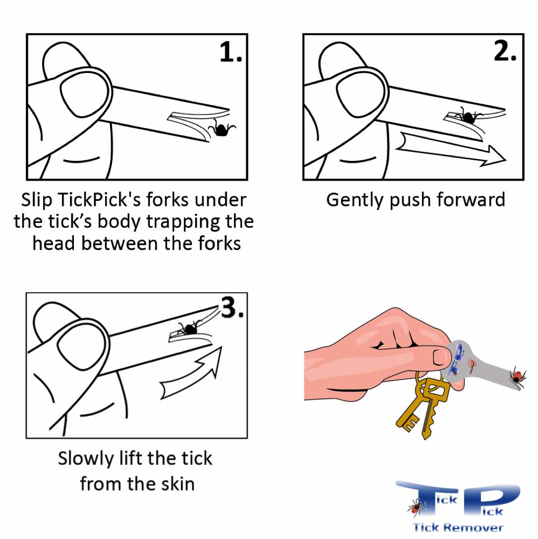Long Paws TickPick Tick Remover Instructions