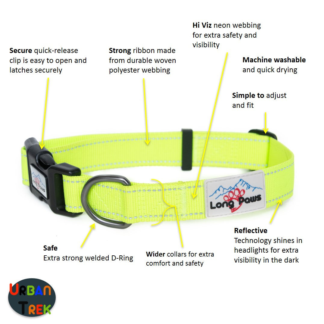 Long Paws, Neon Dog Collar